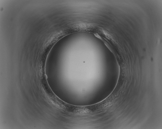 X0000066010642200603061258