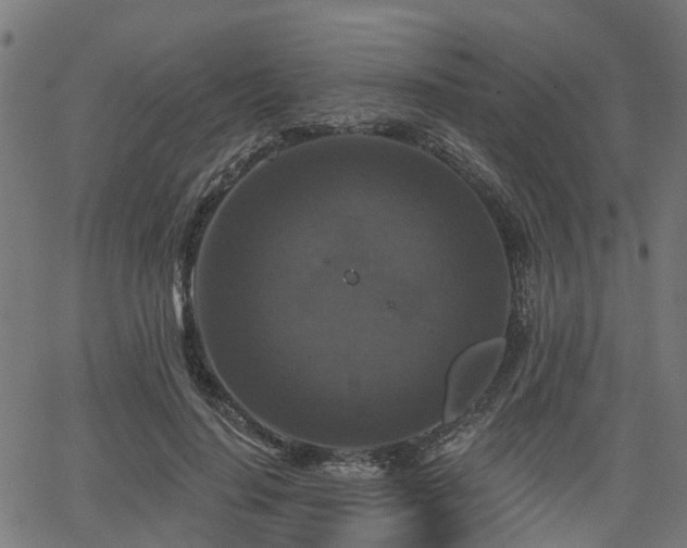 X0000066010644200603061258