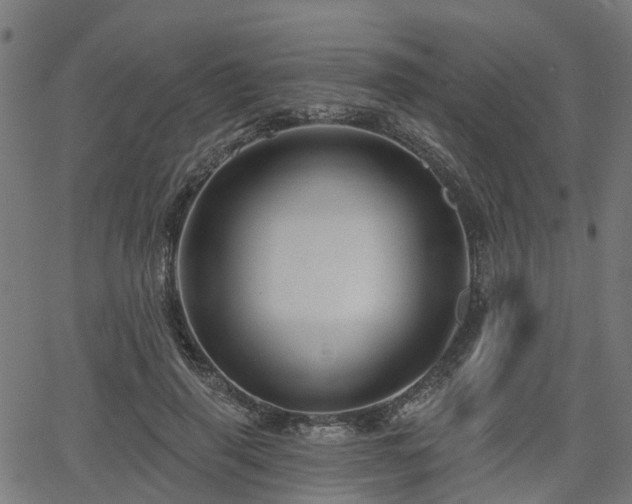 X0000066010645200603061258