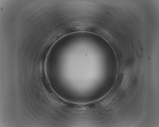 X0000066010646200603061258