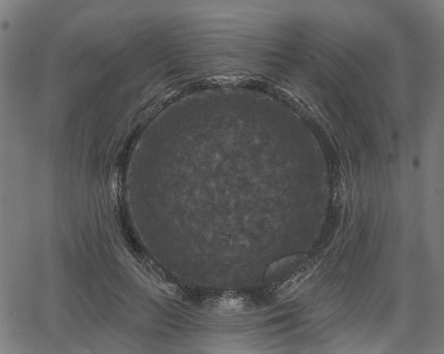 X0000066010647200603061258