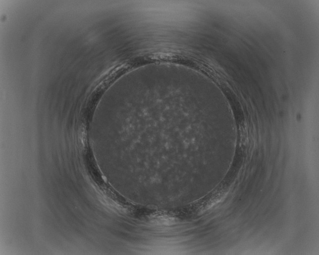 X0000066010648200603061258