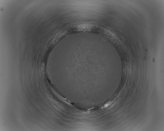 X0000066010649200603061258