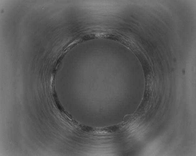 X0000066010650200603061258