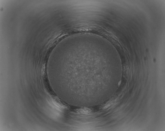 X0000066010652200603061258