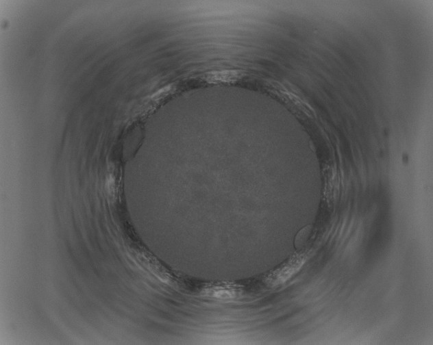 X0000066010655200603061258