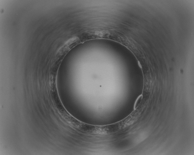 X0000066010656200603061258