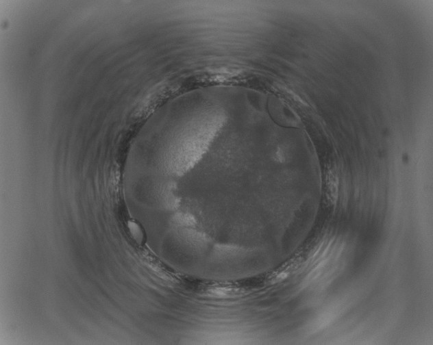 X0000066010657200603061259