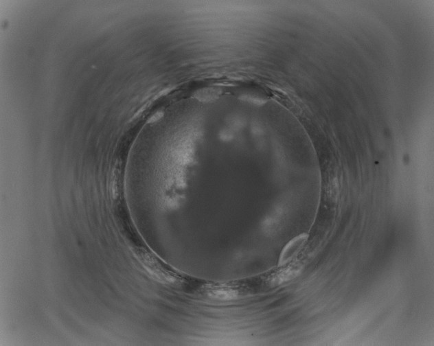 X0000066010658200603061259