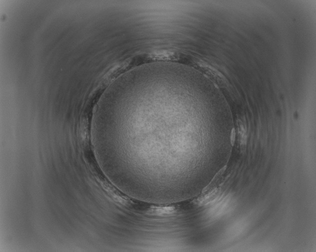 X0000066010665200603061259