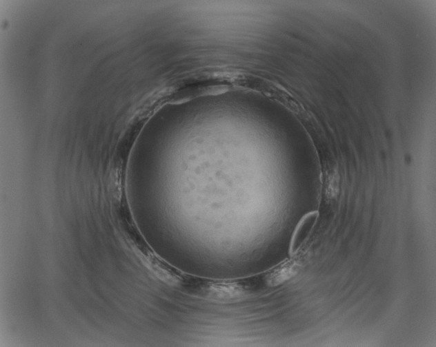 X0000066010666200603061259