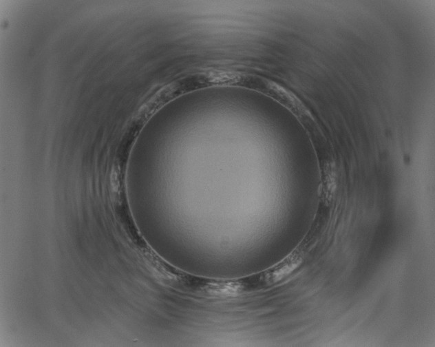 X0000066010667200603061259