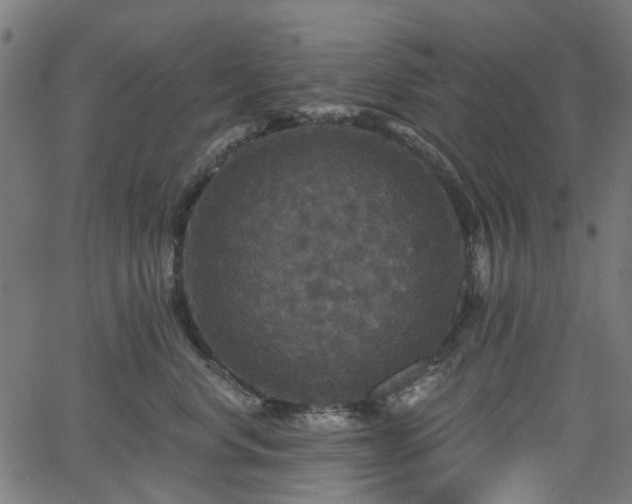 X0000066010668200603061259