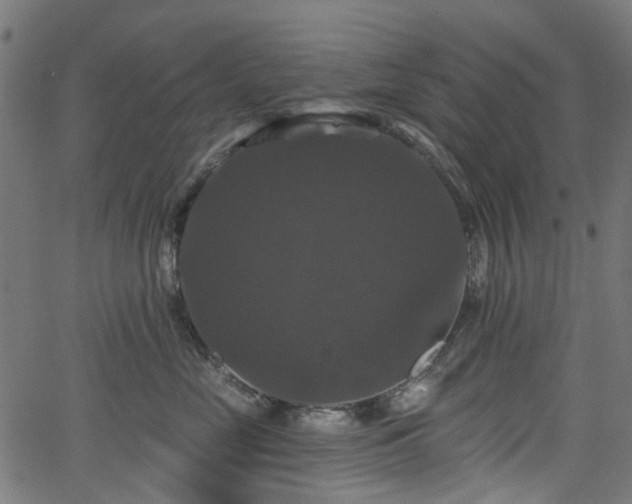 X0000066010669200603061259