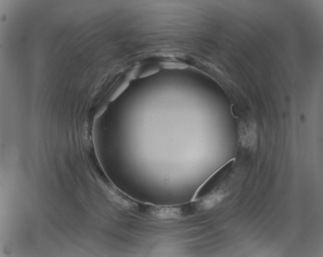 X0000066010670200603061259