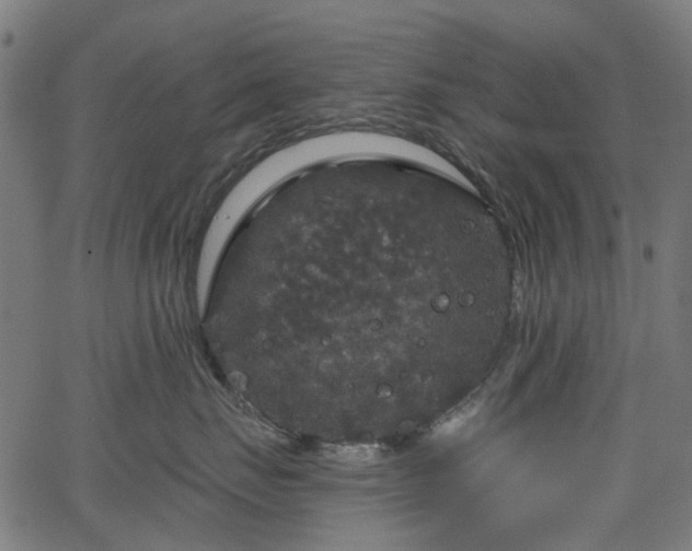 X0000066010671200603061259