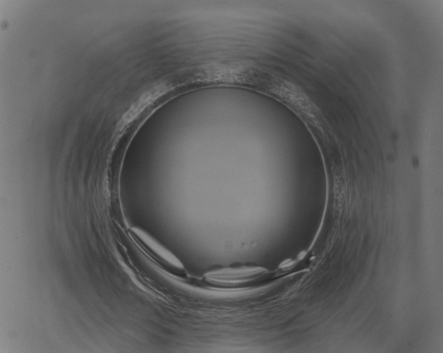 X0000066010674200603061258