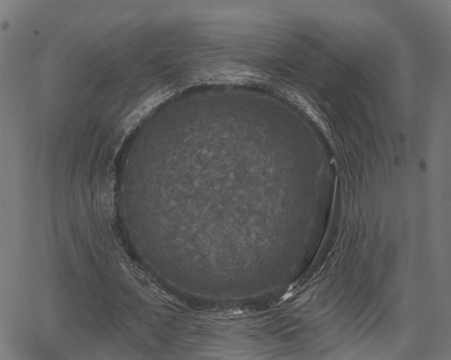 X0000066010675200603061258