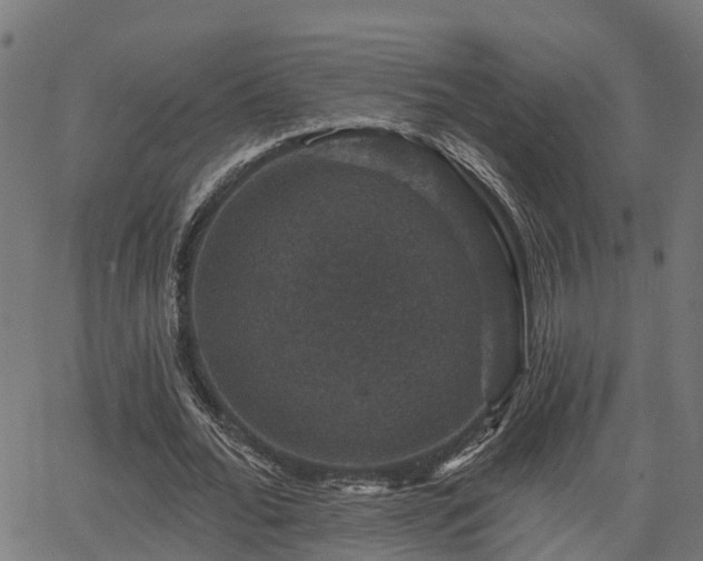 X0000066010676200603061258