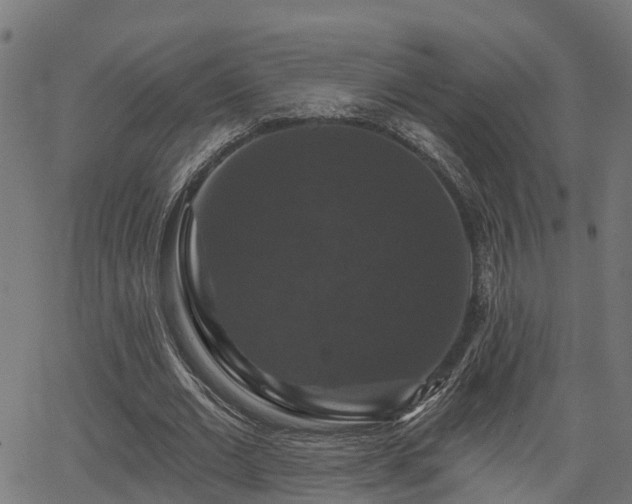 X0000066010677200603061258