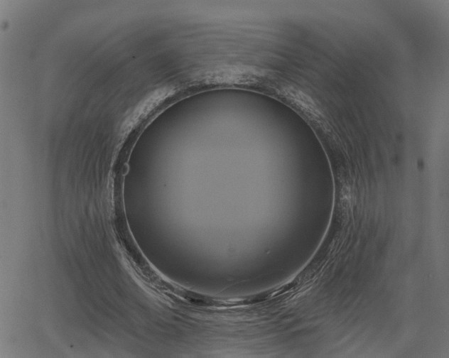 X0000066010678200603061258