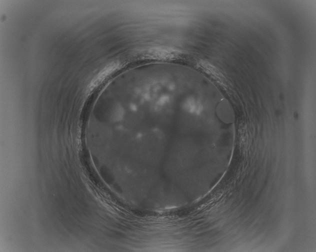 X0000066010679200603061258