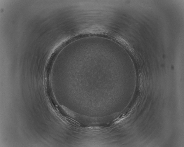 X0000066010680200603061258