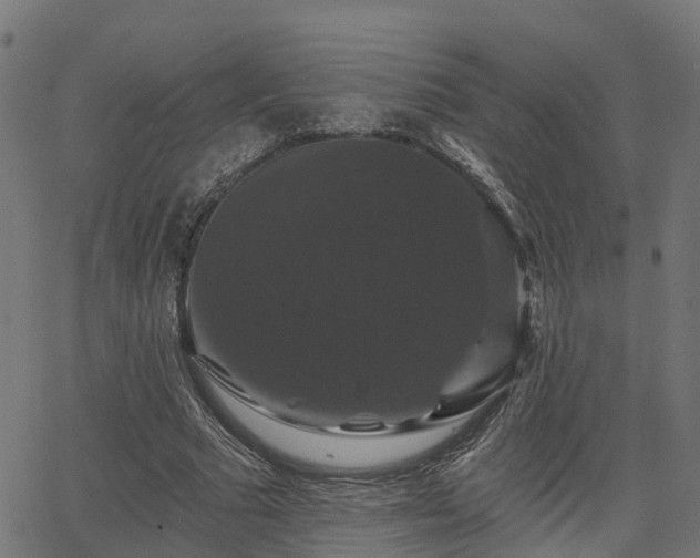 X0000066010681200603061258