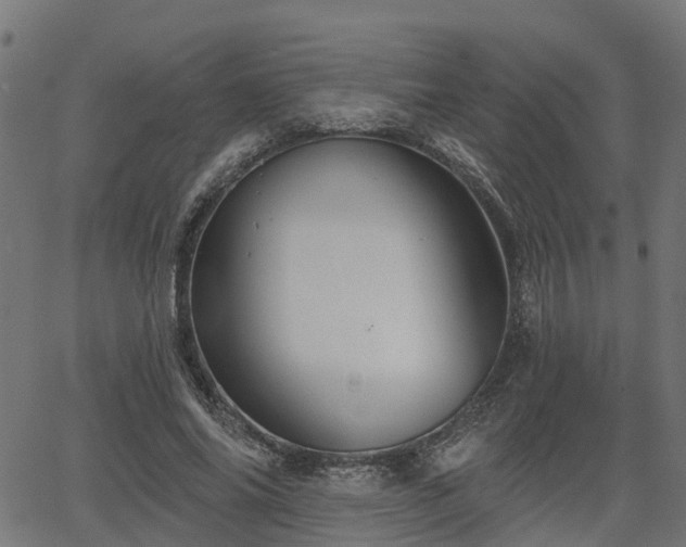 X0000066010686200603061258