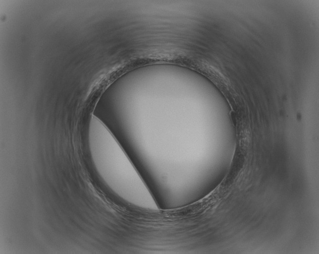 X0000066010688200603061258