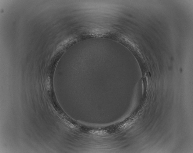 X0000066010689200603061258