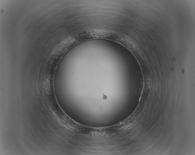 X0000066010690200603061258