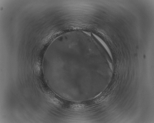 X0000066010691200603061258