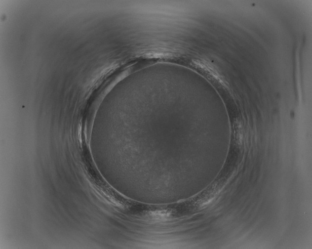 X0000066010692200603061258