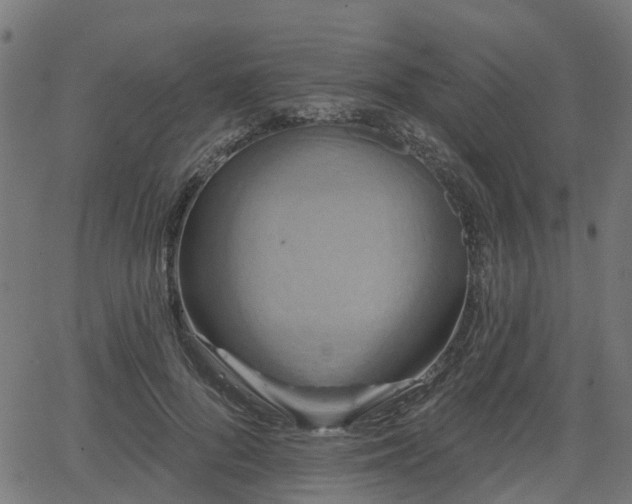 X0000066010696200603061258