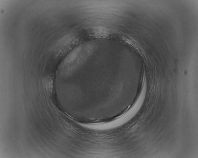 X0000066010697200603061258