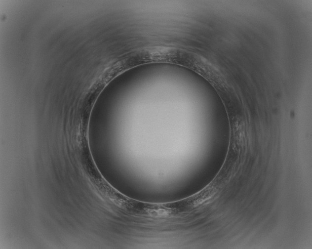 X0000066010698200603061258