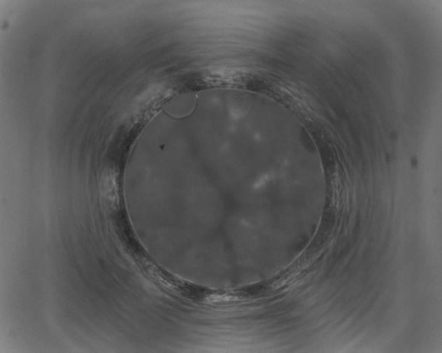 X0000066010699200603061258