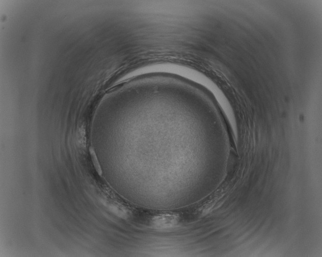 X0000066010700200603061258