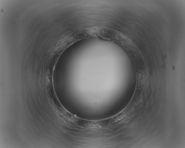 X0000066010702200603061257