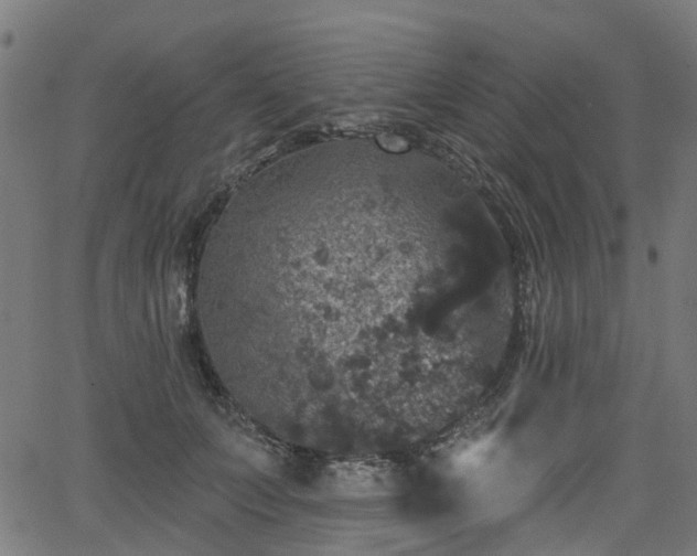 X0000066010703200603061257