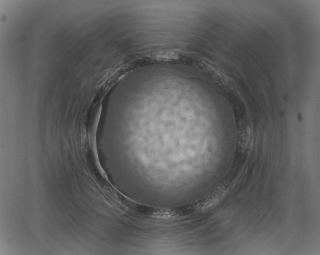 X0000066010704200603061257