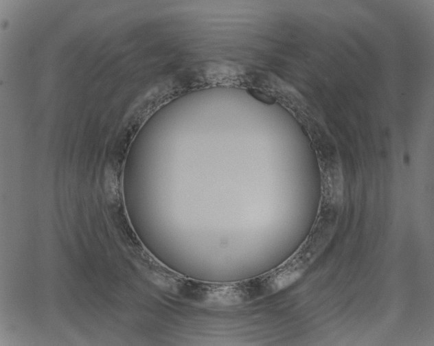 X0000066010705200603061257