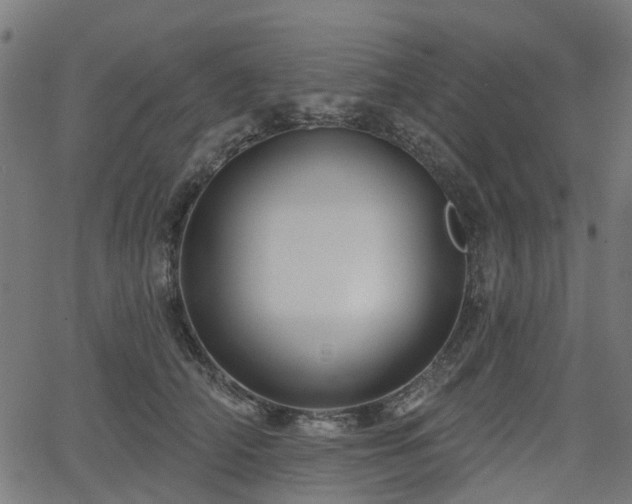 X0000066010706200603061257