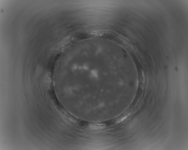 X0000066010707200603061257