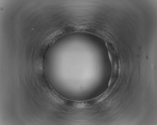 X0000066010710200603061257