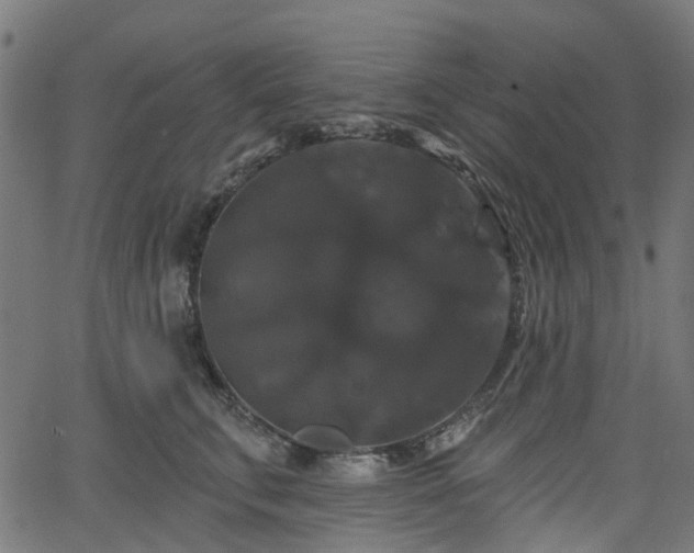 X0000066010711200603061257