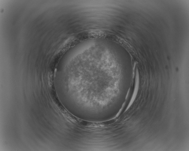 X0000066010712200603061257