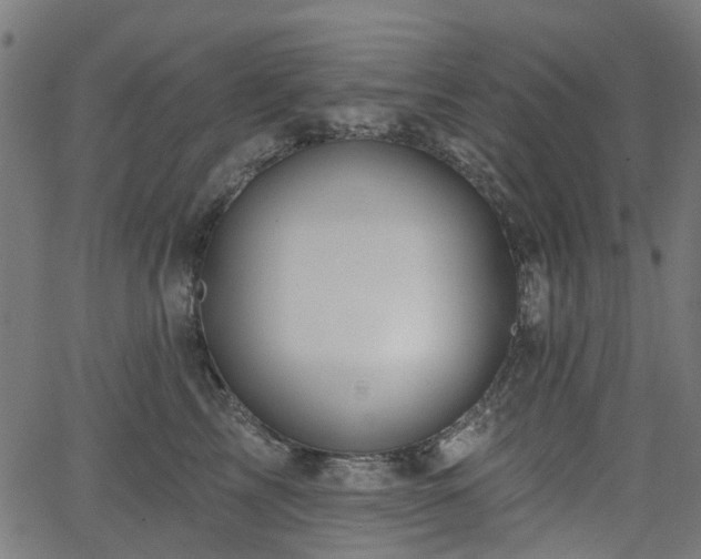 X0000066010713200603061257