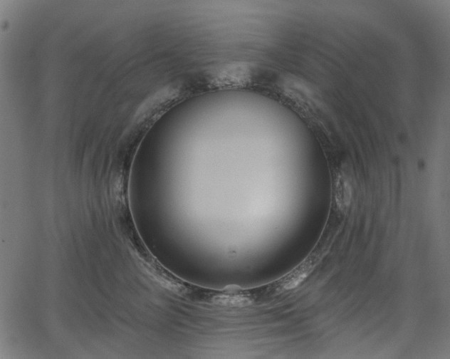 X0000066010714200603061257